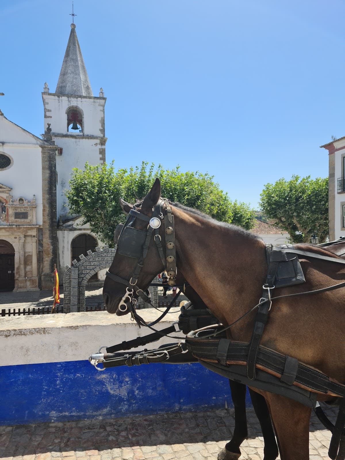 Óbidos, Portugal — travel destination on RevealSpot