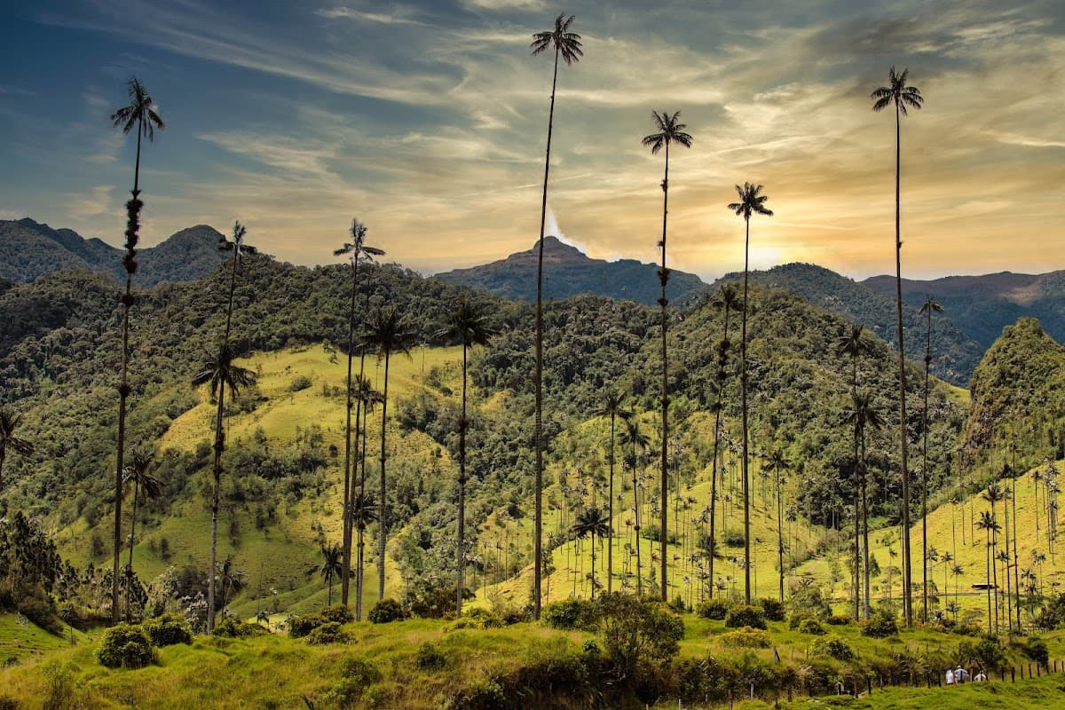 Cocora Valley, Colombia