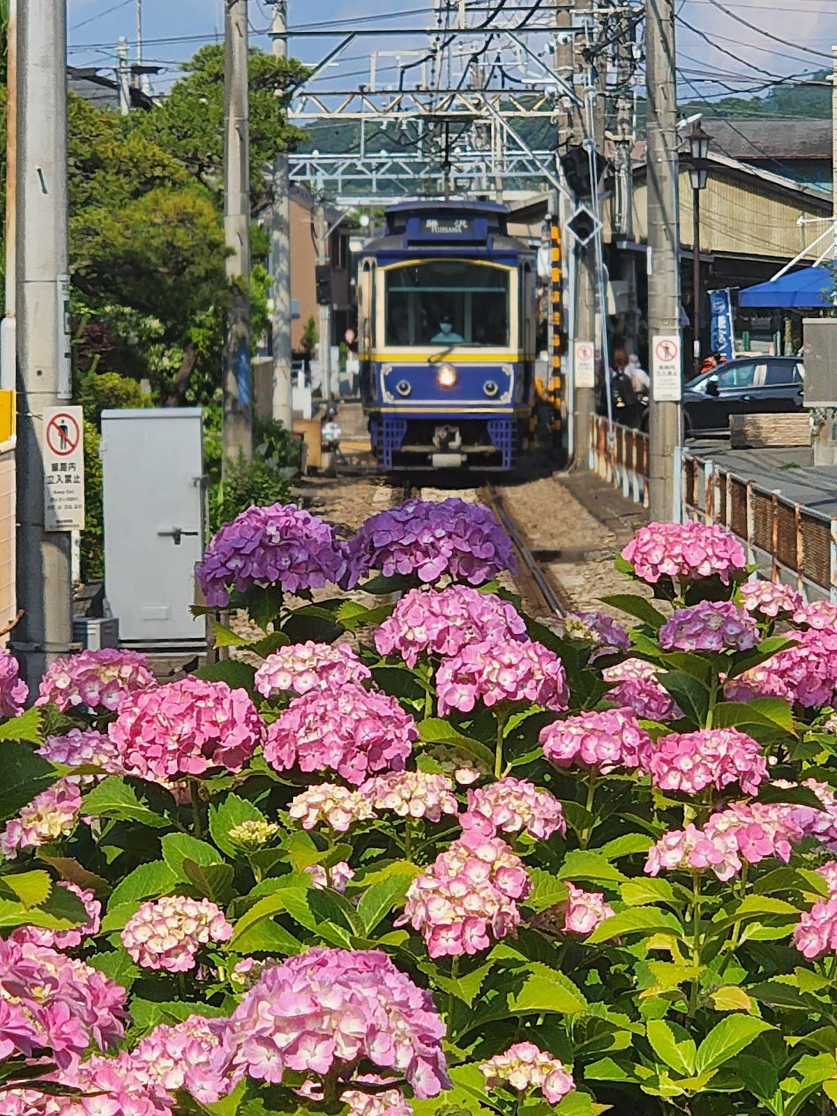 Kamakura, Japan — travel destination on RevealSpot