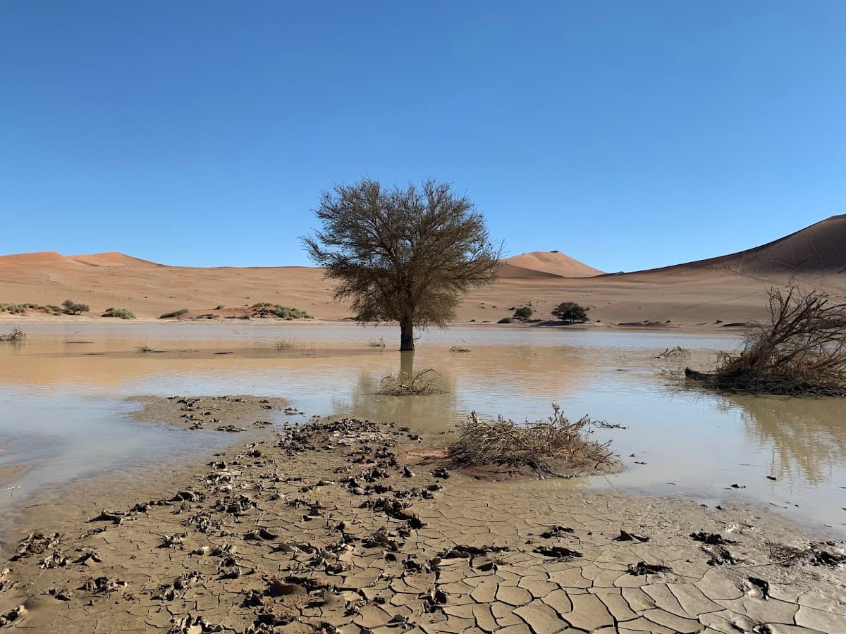 Namib Desert & Sossusvlei, Namibia