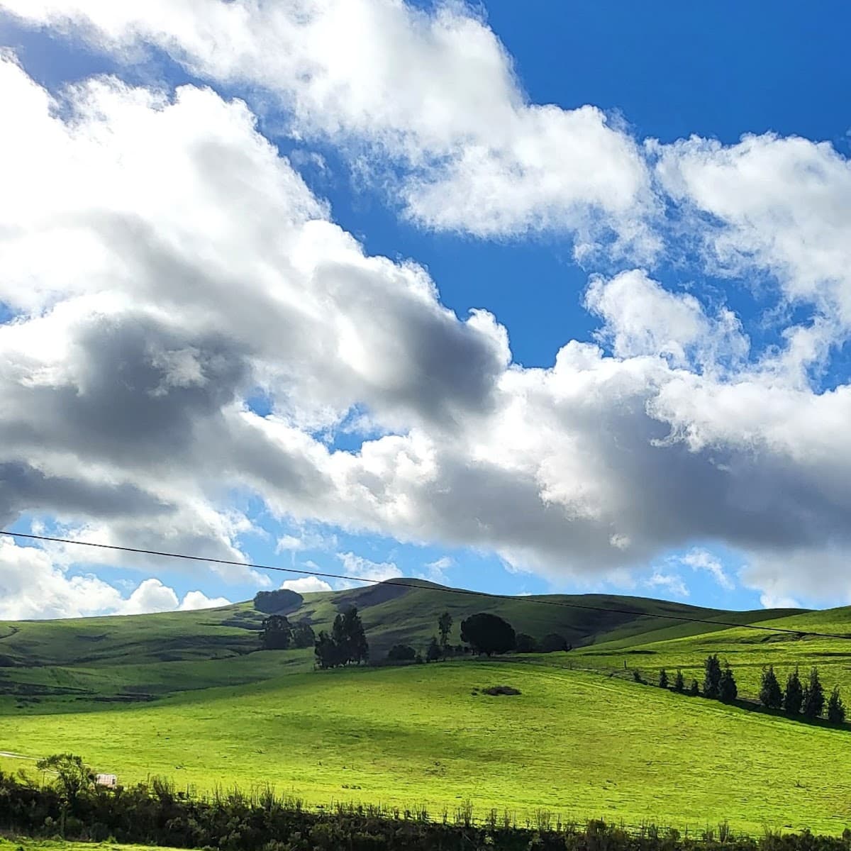 Napa Valley, USA — travel destination on RevealSpot