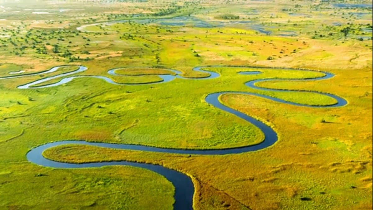 Okavango Delta, Botswana