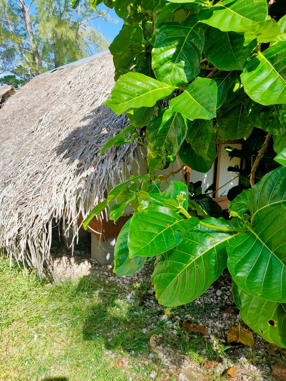 Tahiti & Moorea, French Polynesia