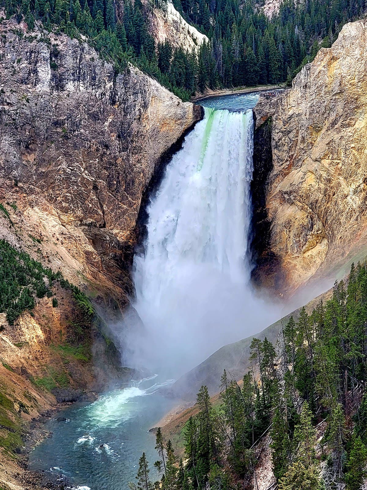 Yellowstone NP, USA