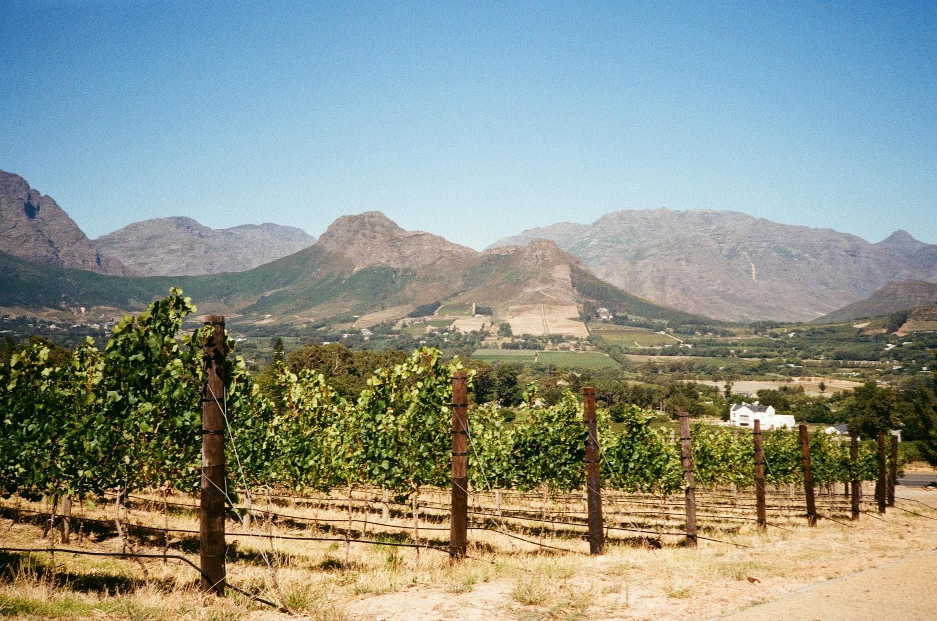 Cape Winelands, South Africa